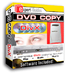 expert guide to divx codec